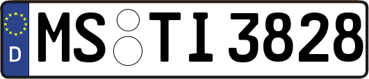 MS-TI3828
