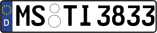MS-TI3833