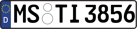 MS-TI3856