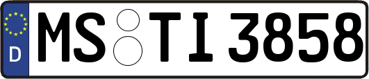 MS-TI3858