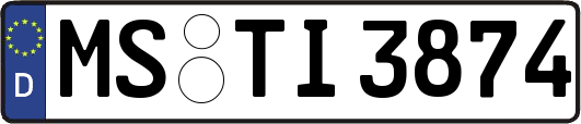 MS-TI3874