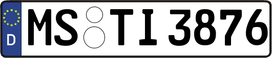 MS-TI3876