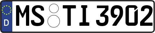 MS-TI3902