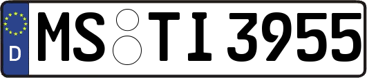 MS-TI3955