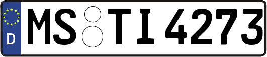MS-TI4273