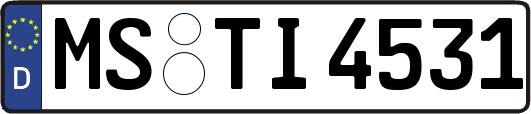 MS-TI4531