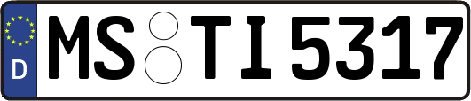 MS-TI5317
