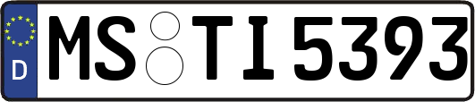MS-TI5393