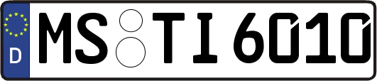 MS-TI6010