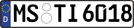 MS-TI6018