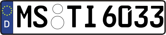 MS-TI6033