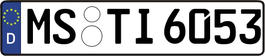 MS-TI6053