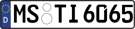 MS-TI6065