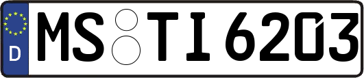 MS-TI6203