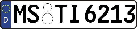 MS-TI6213