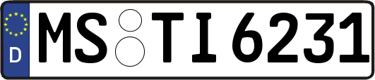 MS-TI6231