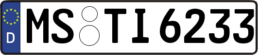 MS-TI6233