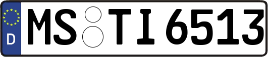 MS-TI6513