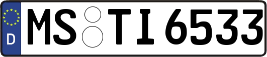 MS-TI6533
