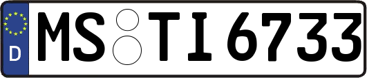 MS-TI6733