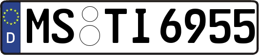 MS-TI6955