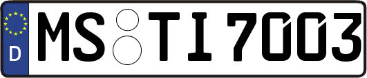 MS-TI7003