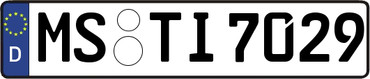 MS-TI7029