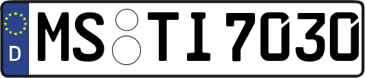 MS-TI7030