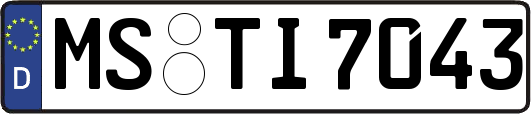 MS-TI7043