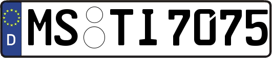 MS-TI7075