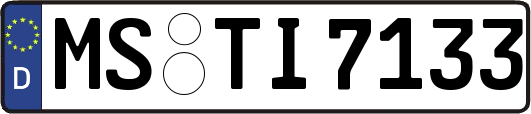 MS-TI7133