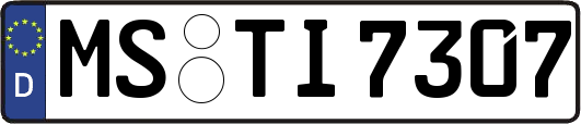 MS-TI7307