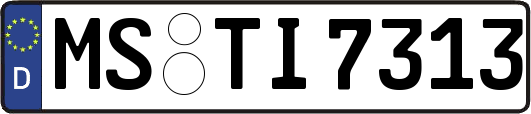 MS-TI7313