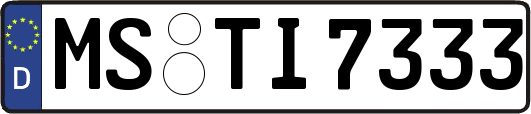 MS-TI7333