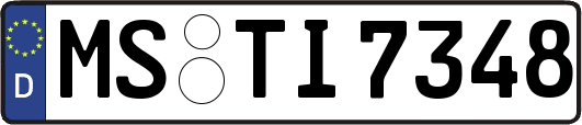 MS-TI7348