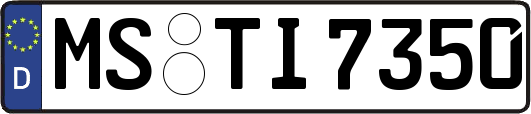 MS-TI7350