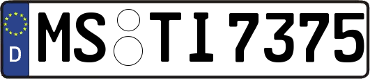 MS-TI7375
