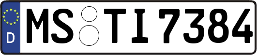 MS-TI7384