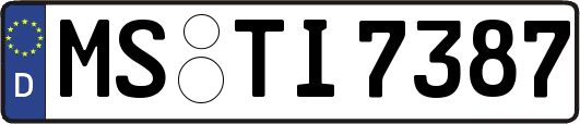 MS-TI7387