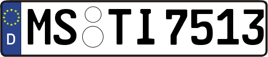 MS-TI7513