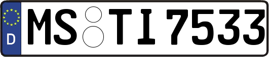 MS-TI7533