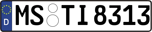 MS-TI8313