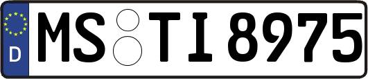 MS-TI8975
