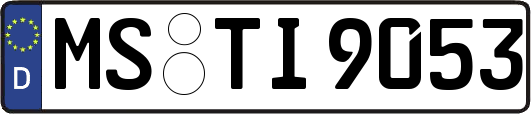 MS-TI9053