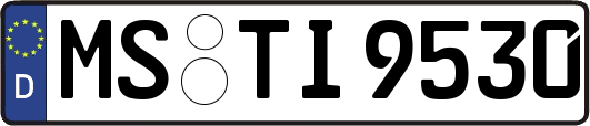 MS-TI9530