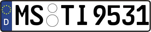 MS-TI9531