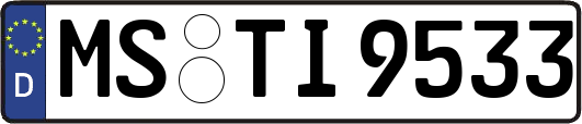 MS-TI9533