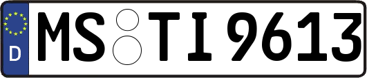 MS-TI9613