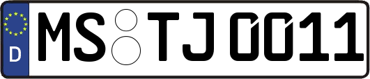 MS-TJ0011