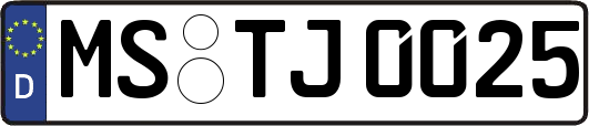 MS-TJ0025